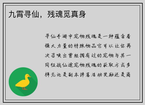 九霄寻仙，残魂觅真身