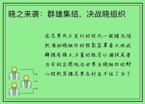 晓之来袭：群雄集结，决战晓组织
